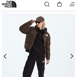 TNF The Northface 1996 Retro Nuptse